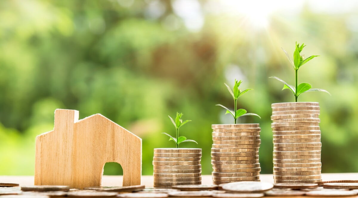 Investing-for-Beginners-to-generate-wealth